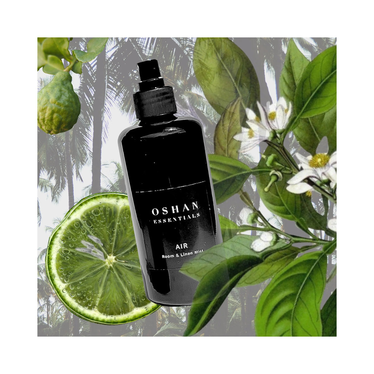 OSHAN Aromatherapy Home, a limited-edition AIR and EARTH home fragrance duo.