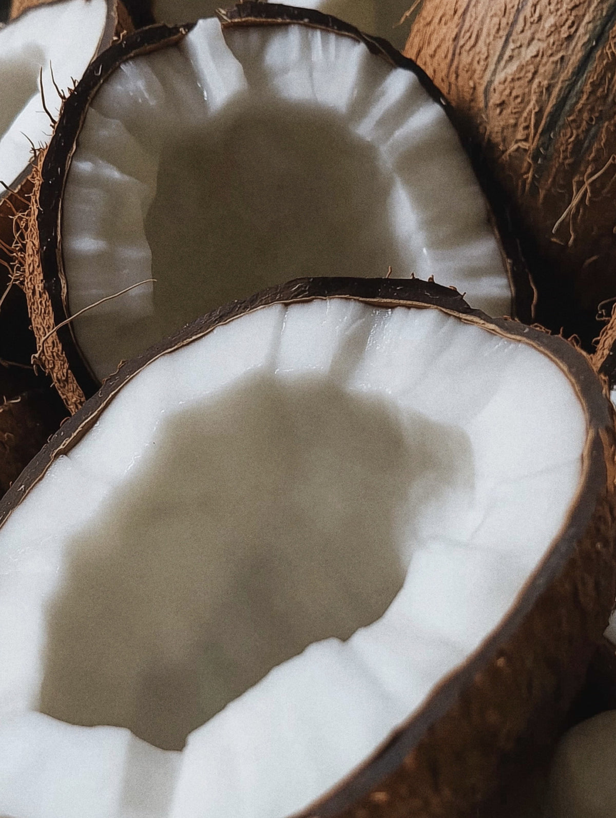 Coconut Oil