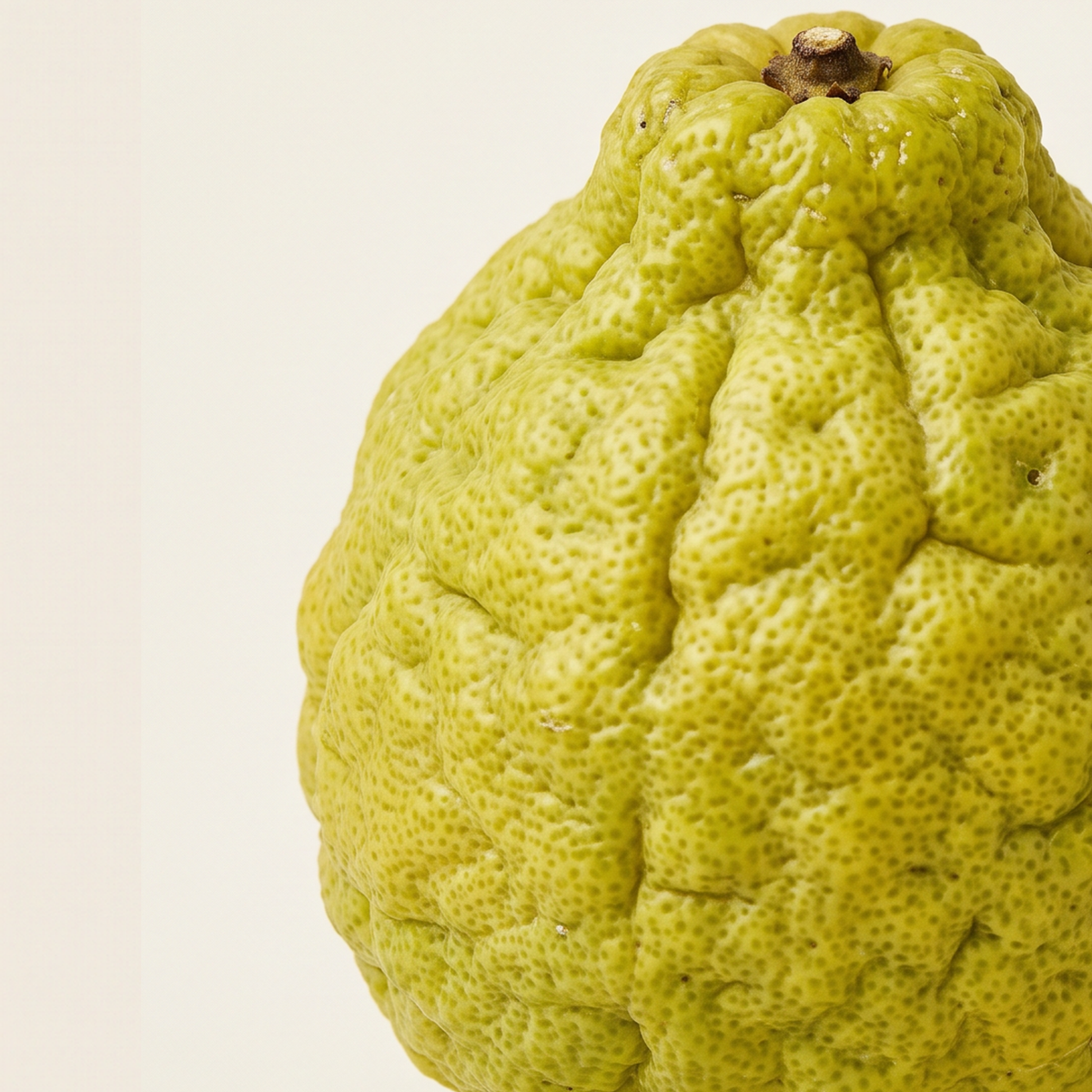 Bergamot