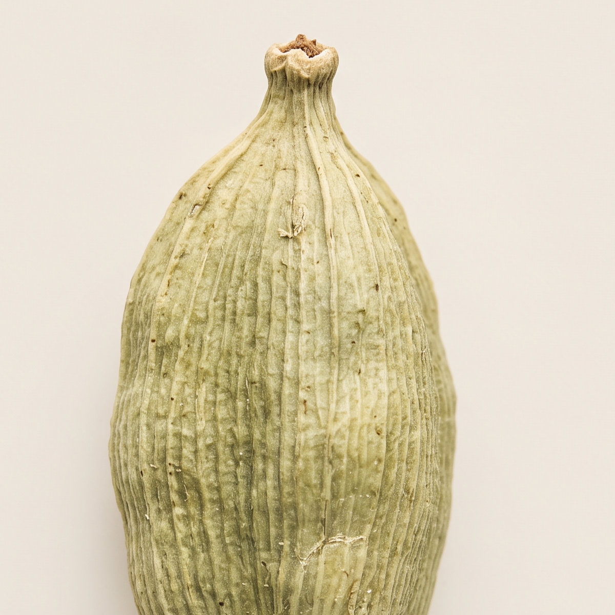Cardamom