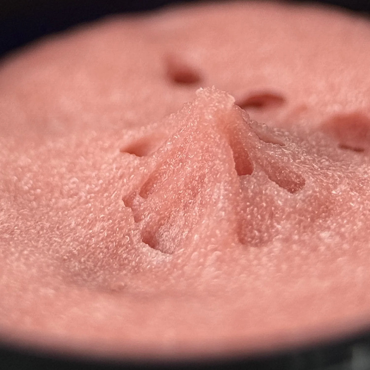 Close view of the soft pink OSHAN ACACIA Whip texture.