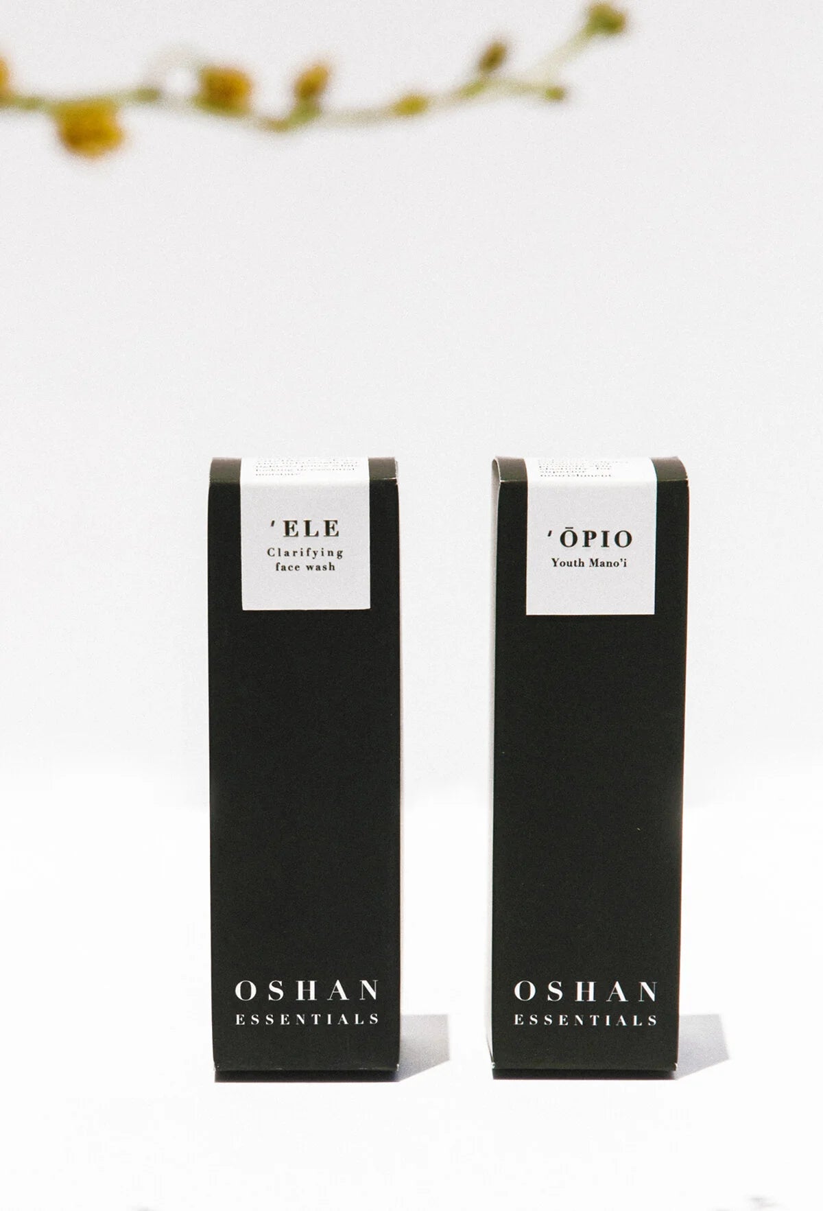 The two OSHAN BASIC Set boxes standing under a branch of small yellow blossoms.
