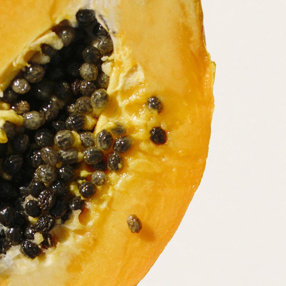 Papaya Seed Oil