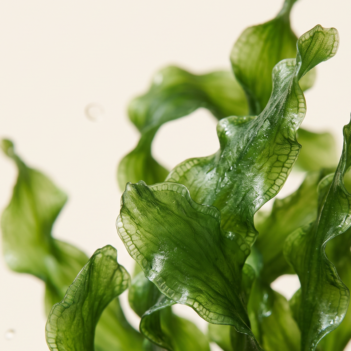 DETOX ʻŌMAʻOMAʻO Body Polish