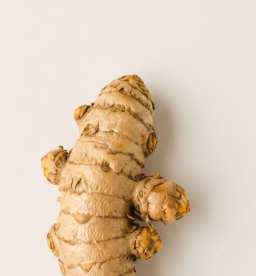 Turmeric