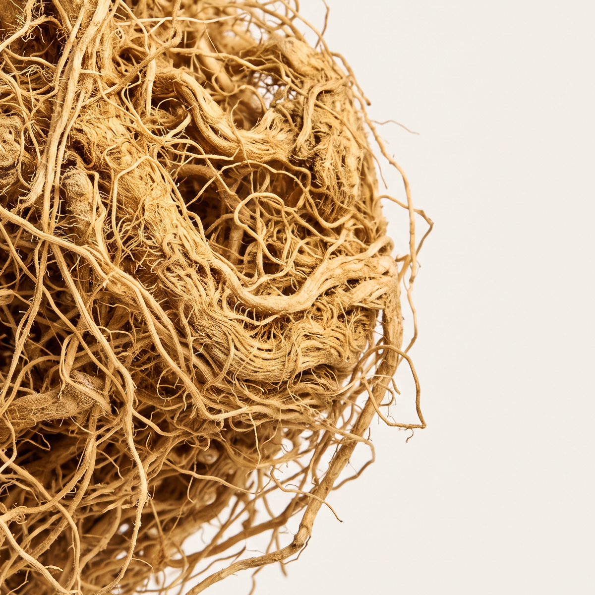 Vetiver